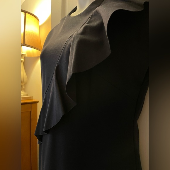 Banana Republic Navy Dress, size 12, ruffle front! - Picture 7 of 8